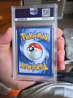 Pokemon Pidgeot Holo Foil Rare Base Set 2, 14/130, WOTC Vintage, PSA 7 NM - Image 2