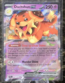 Dachsbun ex 067/142 - Stellar Crown - Pokemon TCG - Double Rare - Near Mint - Image 1