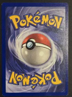 Pokemon TCG Dragonite WB Movie Black Star Promo Card #5 - NM - Image 2