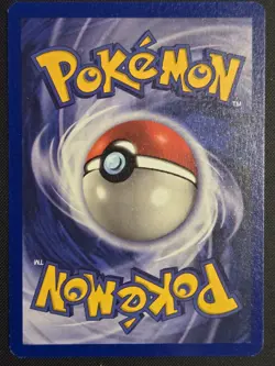 Pokemon TCG Dragonite WB Movie Black Star Promo Card #5 - NM - Image 2