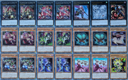 Yu-Gi-Oh! Fallenstellerin / Traptrix/ Handtrap - Deck/Set/Core DEUTSCH 1.Auflage - Image 3