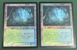 MTG Japanese Set Booster Old Frame Foil Mist Rainforest Of 2 - Image 1