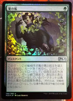 MTG First Edition Japanese Foil Summer Book/Veil Of M20 - Image 1
