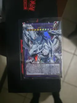 Yugioh - Dragon Master Magia BLGG-EN137 1st Edition Extended Art NM - Image 1