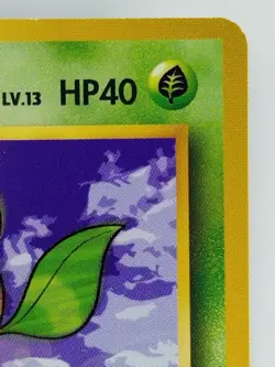 Erika's Bellsprout Japanese Pokemon Card Nintendo No.069 HP40 Free Shipping TCG - Image 3