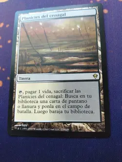 Spanish Marsh Flats - Zendikar (ZEN) - Image 1