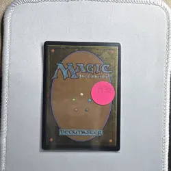 Wizards of the Coast MTG Evendo, Waking Haven Mythic EOE 0253 EN Regular - Image 2