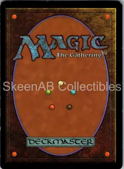 MTG SkeenAB Hallowed Fountain Return to Ravnica MP - Image 2