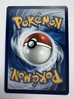Pokemon TCG Mega Gengar EX 073 Black Star Promo Mega Moonlit Tin NM - Image 2