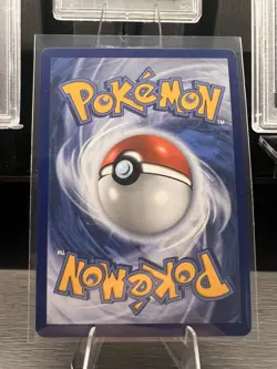Cinccino ex 119/086 Special Illustration Rare - NM/M - Pokemon TCG Chaos Rising - Image 2