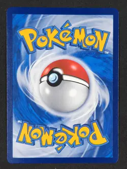 GYM Trainer 007/004 SR Full Art Trainer Simplify Chinese PTCG cs4.1C Aus Seller - Image 2