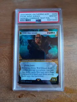 MTG 2024 Eivor, Wolf-Kissed Showcase Textured Foil Assassin's Creed PSA 10 GEM💎 - Image 1