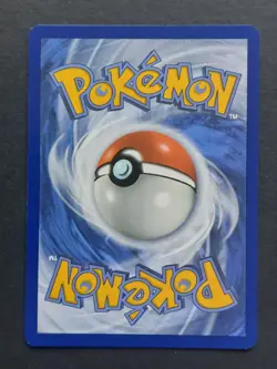 Roark 242/182 Paradox Rift Pokemon TCG NM - Image 2