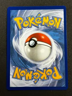 Pokemon TCG Mega Gengar EX 073 Black Star Promo Mega Moonlit Tin B - Image 2