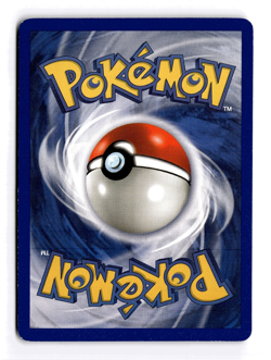 EEVEE 55/82 TEAM ROCKET COMMON Pokemon 1st Edition LIGHT PLAY - Image 2