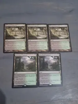 MTG Woodland Cemetery X1! Innistrad- DOM- Rare Land Nr Mint - Image 1