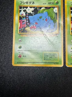 US Duty Inc 2set Bulbasaur Intro/Starter Bulbasaur No. 001 Japanese Pokemon Card - Image 5