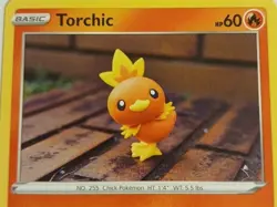 Torchic 022/189 Darkness Ablaze - Common Pokemon Card NM - Image 2