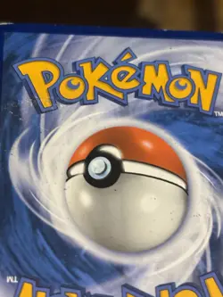 Pokemon TCG Evolving Skies Teddiursa 126/203 HP - Image 3