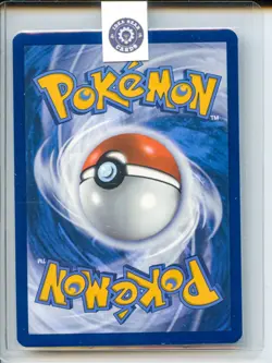 2025 Pokemon SVP 203 Team Rocket’s Wobbuffet Holo Promo Card - Image 2