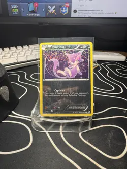 Purrloin RC13/RC25 - LP - Pokemon TCG Legendary Treasures Radiant Collection - Image 1