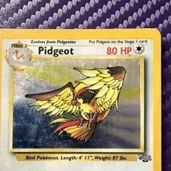 Wizards of the Coast Pidgeot Jungle 8/64 Holo Rare Unlimited English HP80 1999 - Image 3