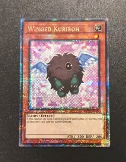 Winged Kuriboh - MP24-EN017 - Quarter Century Secret Rare - 1st Edition - Yugioh - Image 1