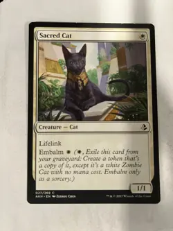Sacred Cat - Amonkhet - Magic the Gathering MTG Nice! - Image 1