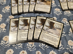 Tempest Hawkx20 (English) Tarkir Dragonstorm 20 Card Set Tempest Hawk MTG Magic - Image 2