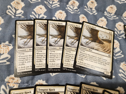 Tempest Hawkx20 (English) Tarkir Dragonstorm 20 Card Set Tempest Hawk MTG Magic - Image 3