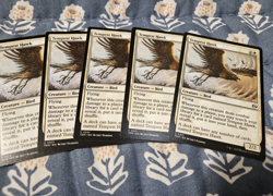 Tempest Hawkx20 (English) Tarkir Dragonstorm 20 Card Set Tempest Hawk MTG Magic - Image 4