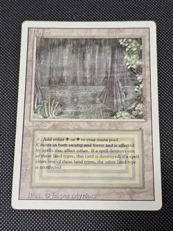 Bayou Revised Mtg DUAL LAND - Image 1