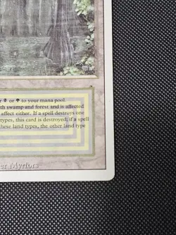 Bayou Revised Mtg DUAL LAND - Image 3