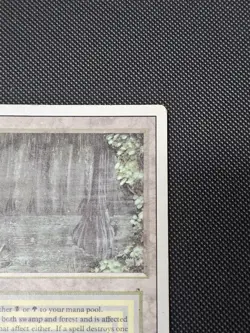 Bayou Revised Mtg DUAL LAND - Image 4