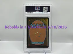 Final Fantasy MTG Tifa, Martial Artist (Borderless Surge Foil #214 PSA 10 - Image 2