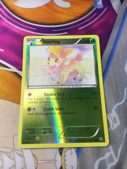 Deerling - 13/114 - Reverse Holo - Common (Black & White: Base Set) Pokemon TCG - Image 4