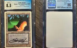 MTG Artist Proof Safe Haven Chronicles Signed Alpha Artist Chris Rush CGC 8.5 - Image 1