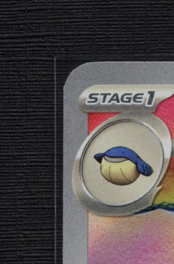Pokemon TCG: Wailord 162/159 Sv09: Journey Together Holo Illustration Rare - NM - Image 3