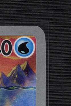 Pokemon TCG: Wailord 162/159 Sv09: Journey Together Holo Illustration Rare - NM - Image 4