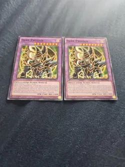 2x Dark Paladin MIL1-EN041 Millennium Pack 1st Edition Common NM Yu-Gi-Oh TCG - Image 1