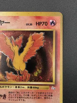 Japanese Moltres No. 146 Fossil Holo Rare - Image 5
