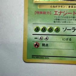 Pokemon TCG Venusaur Base Set Holo Japanese No. 003 - Image 5