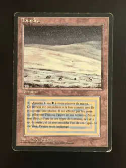 MTG - Toundra Tundra - Revised 3e FBB FR - Played - Fabuen Magic - Image 1