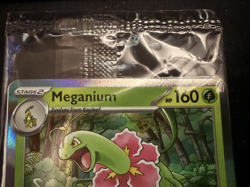 Pokemon TCG Mega Evolution Prerelease Staff Promo Set (4 card Sealed) - Image 3