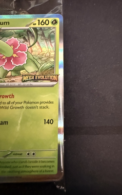 Pokemon TCG Mega Evolution Prerelease Staff Promo Set (4 card Sealed) - Image 4