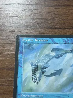 Mystic Remora - Ice Age - MTG - Magic the Gathering - Image 2