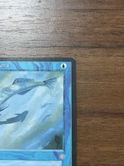 Mystic Remora - Ice Age - MTG - Magic the Gathering - Image 3