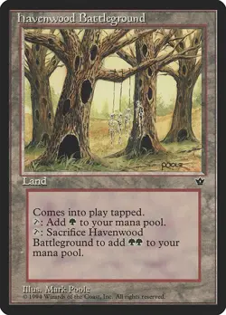 [MTG] Havenwood Battleground (Retro Frame) (096) (FEM) NM - Image 1