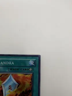 Yugioh Salamandra DDS-006 Secret Rare - LP - Image 4