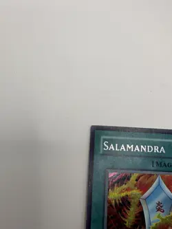 Yugioh Salamandra DDS-006 Secret Rare - LP - Image 5